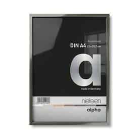 Nielsen Alpha Polished Dark Grey