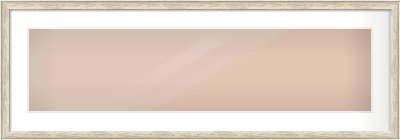 Champagne Silver with Black Sides Cushion Frame for 1000 × 250mm artwork, with Smooth White Single Mount