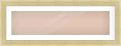 Silver Flat Frame for 1000 × 250mm artwork, with Smooth White Single Mount