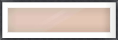 Black Wood Grain Flat Frame for 1000 × 250mm artwork, with Smooth White Single Mount