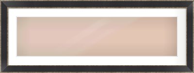 Black & Champagne Silver Bevel Frame for 1000 × 250mm artwork, with Smooth White Single Mount
