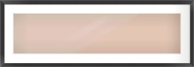 Brushed Black Flat Frame for 1000 × 250mm artwork, with Smooth White Single Mount