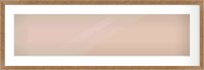 Brushed Bronze with Black Sides Flat Frame for 1000 × 250mm artwork, with Smooth White Single Mount
