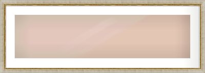 Silver Foil Flat Frame for 1000 × 250mm artwork, with Smooth White Single Mount