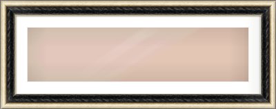 Black & Champagne Silver Spoon Frame for 1000 × 250mm artwork, with Smooth White Single Mount