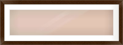 Wenge Flat Frame for 1000 × 250mm artwork, with Smooth White Single Mount