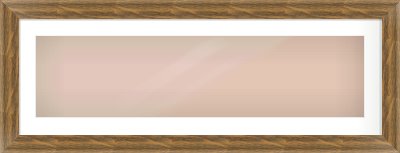 Characteristic Brown Flat Frame for 40 × 10in artwork, with Smooth White Single Mount