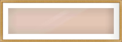 Gold Dome Frame for 40 × 10in artwork, with Smooth White Single Mount