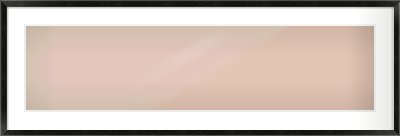 Black Wood Grain Flat Frame for 40 × 10in artwork, with Smooth White Single Mount