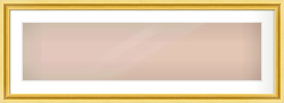 Gold Cushion Frame for 40 × 10in artwork, with Smooth White Single Mount