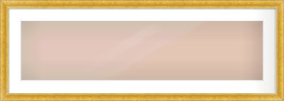 Gold Reverse Frame for 40 × 10in artwork, with Smooth White Single Mount