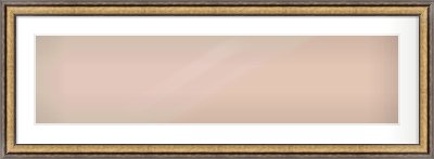 Gold Spoon Frame for 40 × 10in artwork, with Smooth White Single Mount