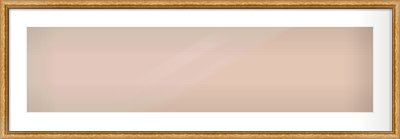 Gold Cushion Frame for 40 × 10in artwork, with Smooth White Single Mount