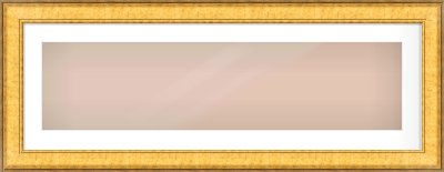 Gold Flat Frame for 40 × 10in artwork, with Smooth White Single Mount