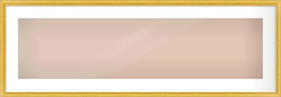 Gold Cushion Frame for 40 × 10in artwork, with Smooth White Single Mount