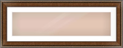 Walnut / Pewter Spoon Frame for 40 × 10in artwork, with Smooth White Single Mount