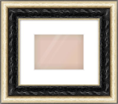 Black & Champagne Silver Spoon Frame for 18 × 13cm artwork, with Smooth White Single Mount