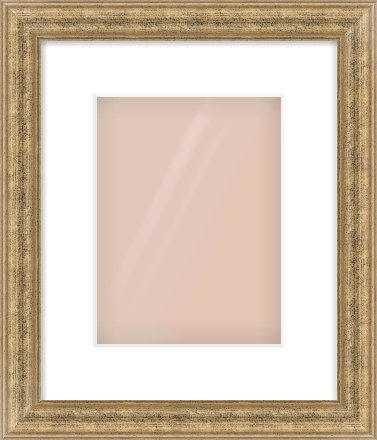 Distressed Gold Dome Frame for 18 × 24cm artwork, with Smooth White Single Mount