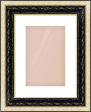 Black & Champagne Silver Spoon Frame for 20 × 30cm artwork, with Smooth White Single Mount