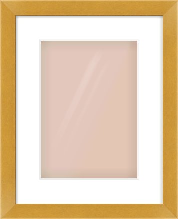 Gold Flat Frame for 210 × 297mm artwork, with Smooth White Single Mount