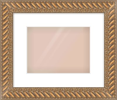 Gold Rope Frame for 24 × 18cm artwork, with Smooth White Single Mount