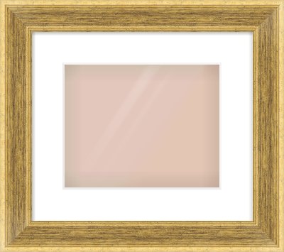 Gold Flat Frame for 10 × 8in artwork, with Smooth White Single Mount