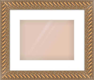 Gold Rope Frame for 28 × 21cm artwork, with Smooth White Single Mount