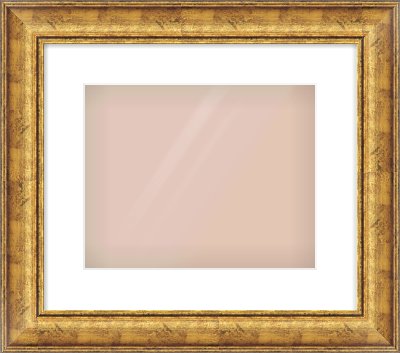 Gold Dome Frame for 30 × 24cm artwork, with Smooth White Single Mount