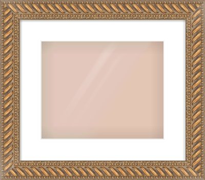 Gold Rope Frame for 30 × 24cm artwork, with Smooth White Single Mount