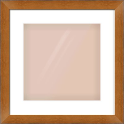 Brushed Bronze with Black Sides Flat Frame for 300 × 300mm artwork, with Smooth White Single Mount
