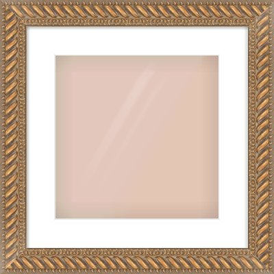 Gold Rope Frame for 300 × 300mm artwork, with Smooth White Single Mount