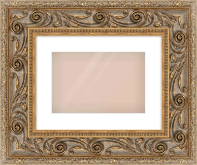 Gold Spoon Frame for 12 × 8in artwork, with Smooth White Single Mount