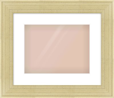 Silver Flat Frame for 12 × 9in artwork, with Smooth White Single Mount