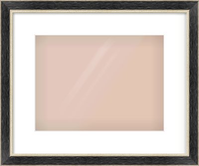 Black & Champagne Silver Reverse Frame for 12 × 9in artwork, with Smooth White Single Mount