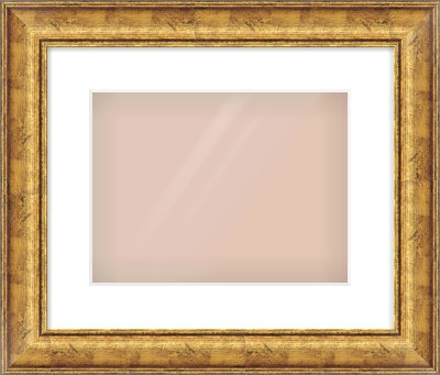 Gold Dome Frame for 12 × 9in artwork, with Smooth White Single Mount