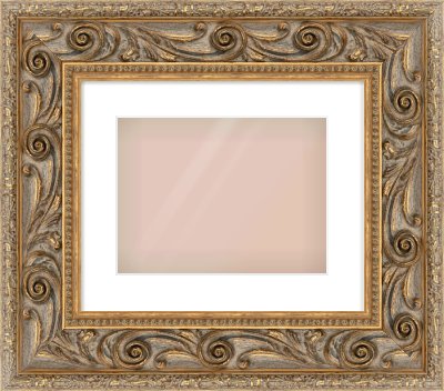 Gold Spoon Frame for 12 × 9in artwork, with Smooth White Single Mount
