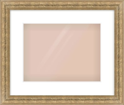 Distressed Gold Dome Frame for 12 × 9in artwork, with Smooth White Single Mount