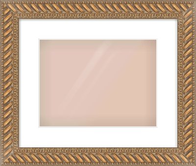 Gold Rope Frame for 12 × 9in artwork, with Smooth White Single Mount