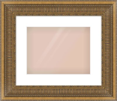 Gold Scoop Frame for 12 × 9in artwork, with Smooth White Single Mount