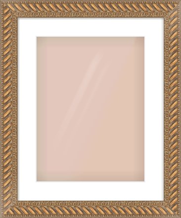 Gold Rope Frame for 12 × 16in artwork, with Smooth White Single Mount