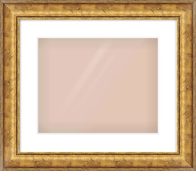 Gold Dome Frame for 350 × 280mm artwork, with Smooth White Single Mount