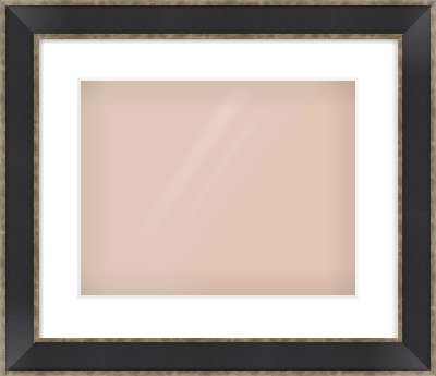 Black & Champagne Silver Bevel Frame for 14 × 11in artwork, with Smooth White Single Mount