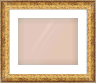Gold Dome Frame for 14 × 11in artwork, with Smooth White Single Mount