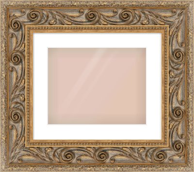 Gold Spoon Frame for 14 × 11in artwork, with Smooth White Single Mount