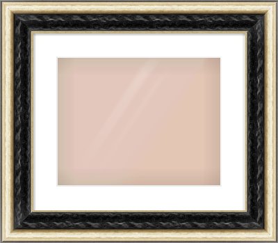 Black & Champagne Silver Spoon Frame for 14 × 11in artwork, with Smooth White Single Mount