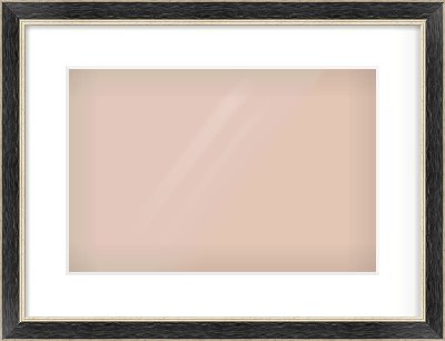 Black & Champagne Silver Reverse Frame for 15 × 10in artwork, with Smooth White Single Mount
