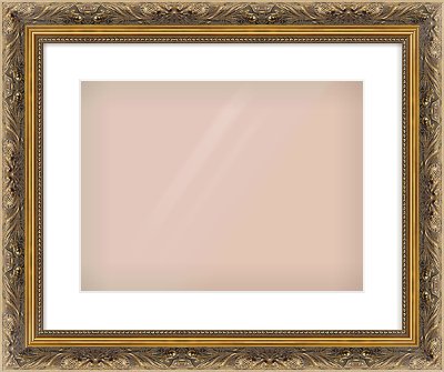 Gold Scoop Frame for 400 × 300mm artwork, with Smooth White Single Mount