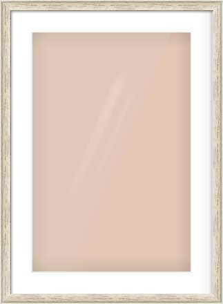 Champagne Silver with Black Sides Cushion Frame for 40 × 60cm artwork, with Smooth White Single Mount