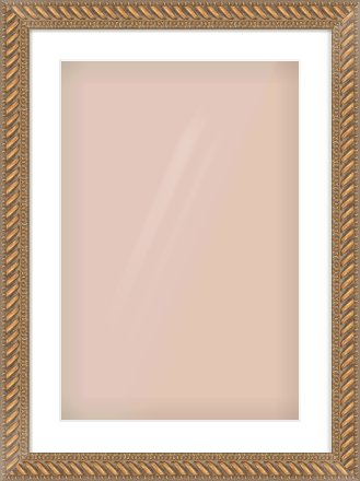 Gold Rope Frame for 40 × 60cm artwork, with Smooth White Single Mount