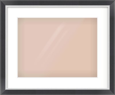Black/Silver Flat Frame for 406 × 305mm artwork, with Smooth White Single Mount